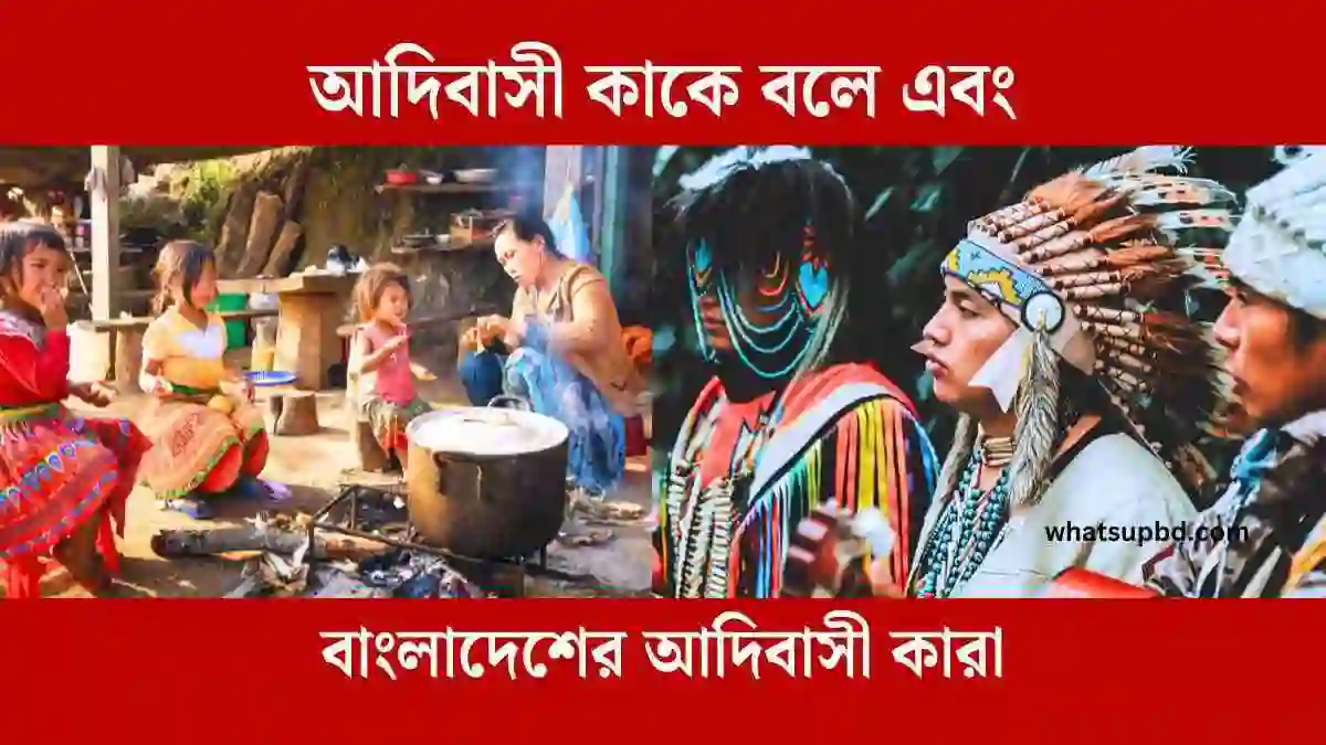 আদিবাসী কাকে বলে এবং বাংলাদেশের আদিবাসী কারা, আদিবাসী, আদিবাসী তালিকা, আদিবাসী কারা, আদিবাসী বৈশিষ্ট্য, আদিবাসী জনগোষ্ঠী, আদিবাসী বাংলাদেশ, আদিবাসী কারা, আদিবাসী জনগোষ্ঠী, Whatsupbd.